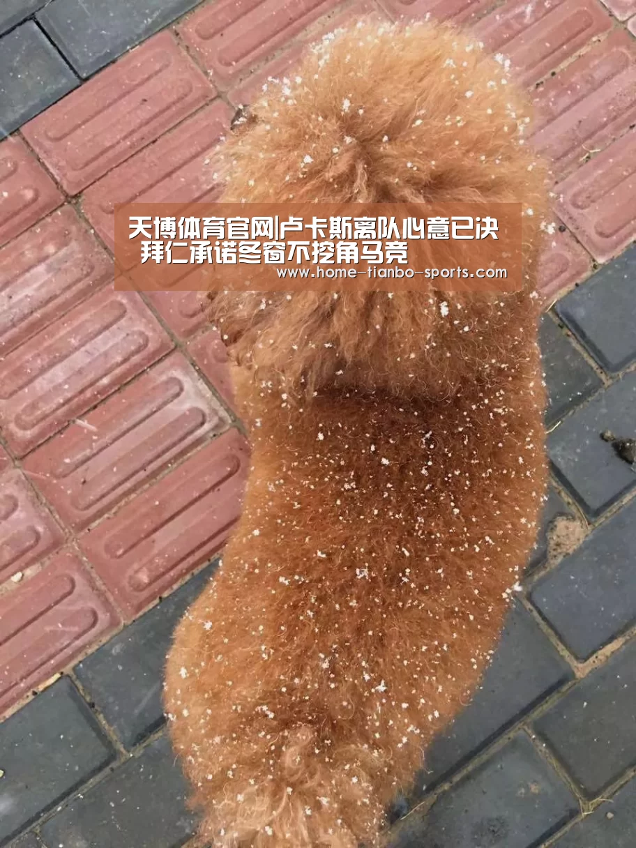 天博体育官网