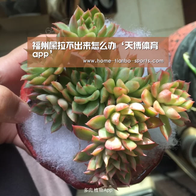 天博体育下载