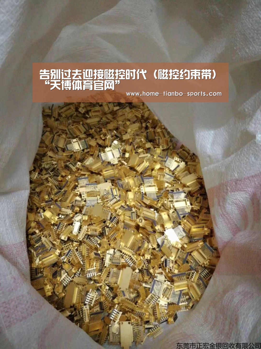 天博体育入口