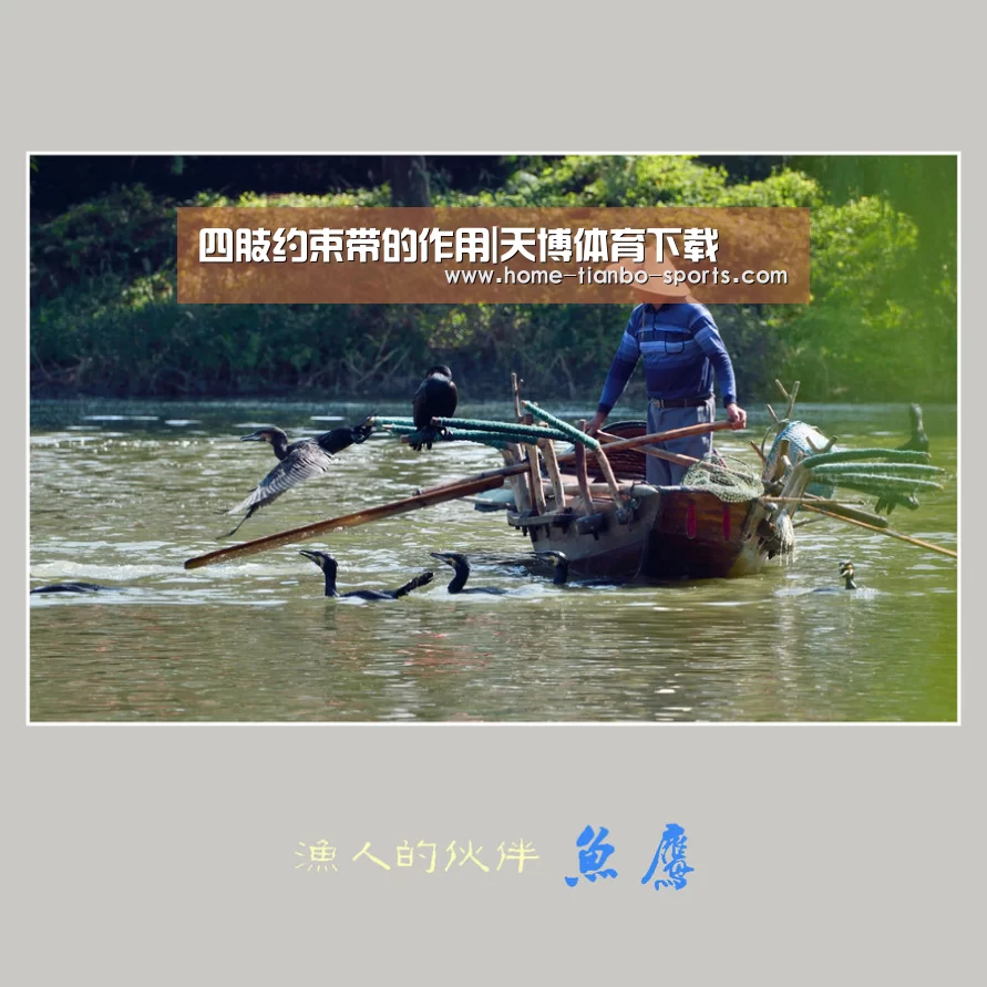 四肢约束带的作用|天博体育下载(图1) 天博体育官网