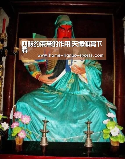 四肢约束带的作用|天博体育下载(图2) 天博体育app